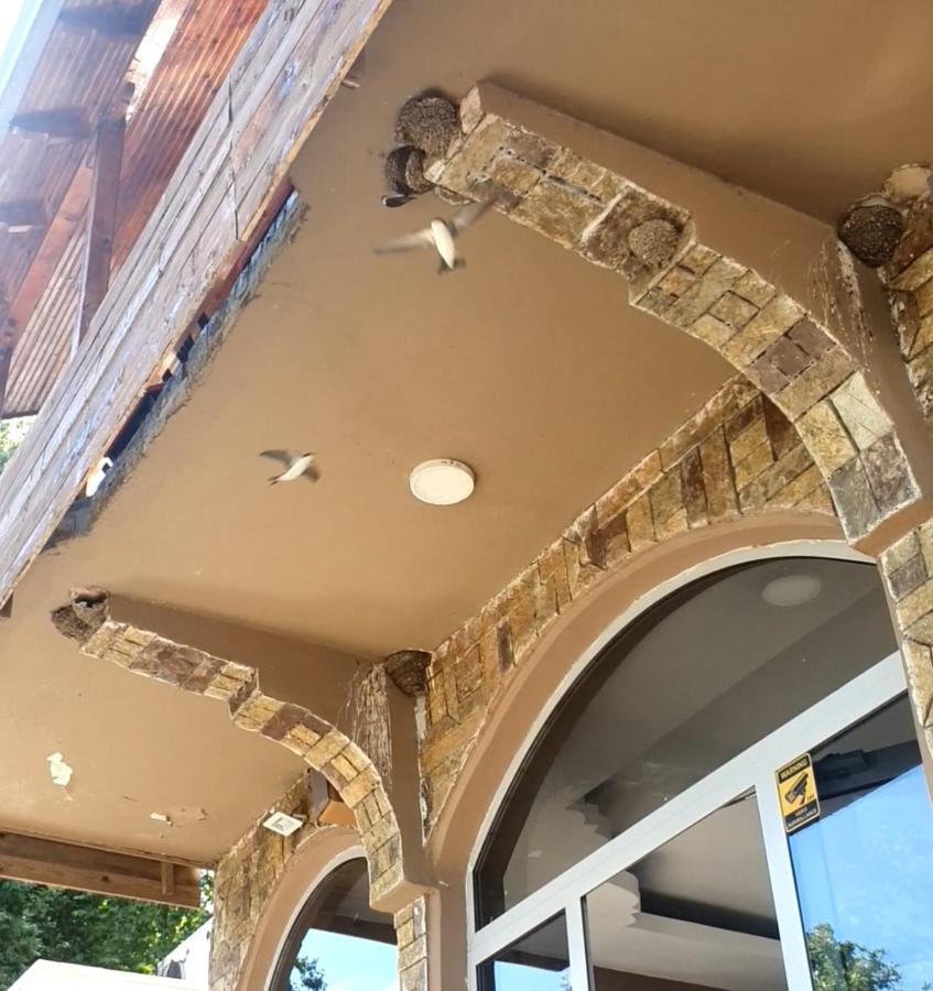 Hotel Piccolino Shkodër 외부 사진